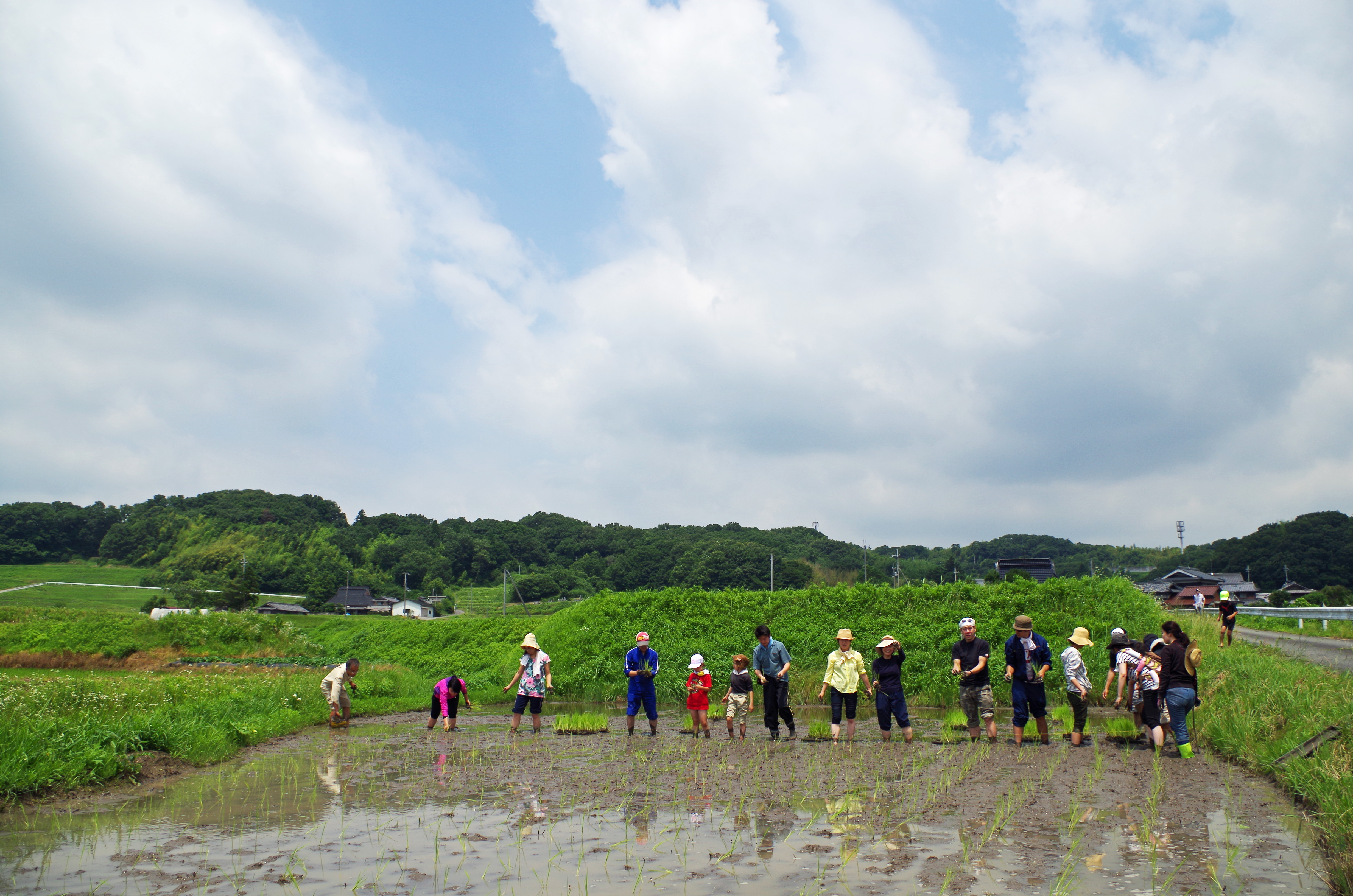 写真