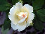 �A�v���R�b�g�l�N�^�[4.JPG