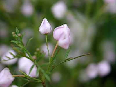 TN_04180007.JPG