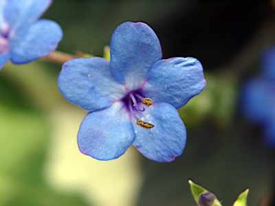 TN_04180009A.JPG