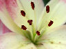 TN_04180008.JPG