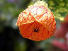 TN_04180008A.JPG