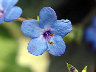 TN_04180009A.JPG