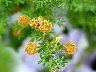 TN_04180011.JPG
