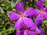 TN_04180011A.JPG