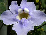 TN_04180012A.JPG
