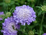 TN_04180013.JPG