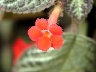 TN_04180013A.JPG