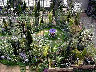 TN_04180003A.JPG