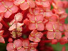 TN_04180015A.JPG