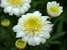 TN_04180016.JPG