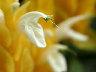 TN_04180020A.JPG