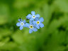 TN_04180026A.JPG