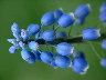TN_04180030A.JPG