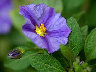 TN_04180004A.JPG