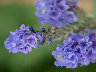 TN_04180032A.JPG
