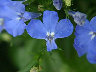 TN_04180033A.JPG