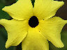TN_04180035A.JPG