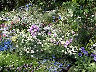 TN_04180036.JPG