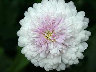 TN_04180005.JPG