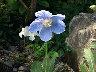 TN_04180038.JPG