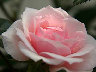 TN_04180042A.JPG