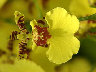 TN_04180005A.JPG