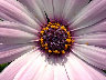 TN_04180043A.JPG