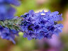 TN_04180047A.JPG