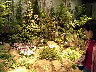 TN_04180048.JPG