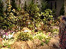 TN_04180049.JPG