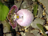 TN_04180050.JPG