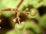 TN_04180050A.JPG