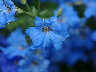 TN_04180006.JPG