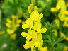 TN_04180052A.JPG