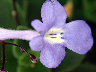 TN_04180053A.JPG