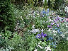 TN_04180054A.JPG