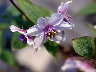 TN_04180055.JPG