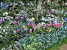 TN_04180055A.JPG