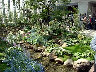 TN_04180061.JPG