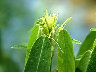 TN_04180064.JPG