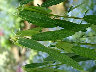 TN_04180065.JPG