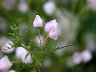 TN_04180007.JPG