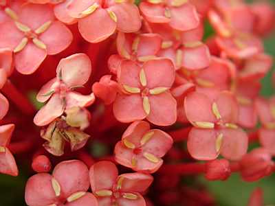 TN_04180015A.JPG