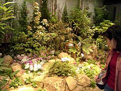 TN_04180048.JPG