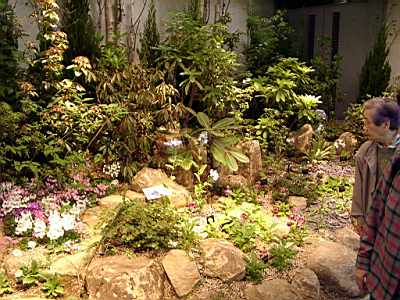 TN_04180049.JPG