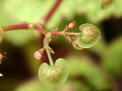 TN_04180050A.JPG