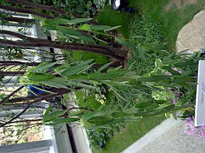 TN_04180063.JPG