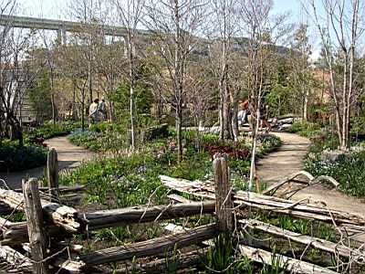 TN_04180313.JPG