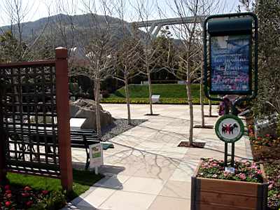 TN_04180317.JPG